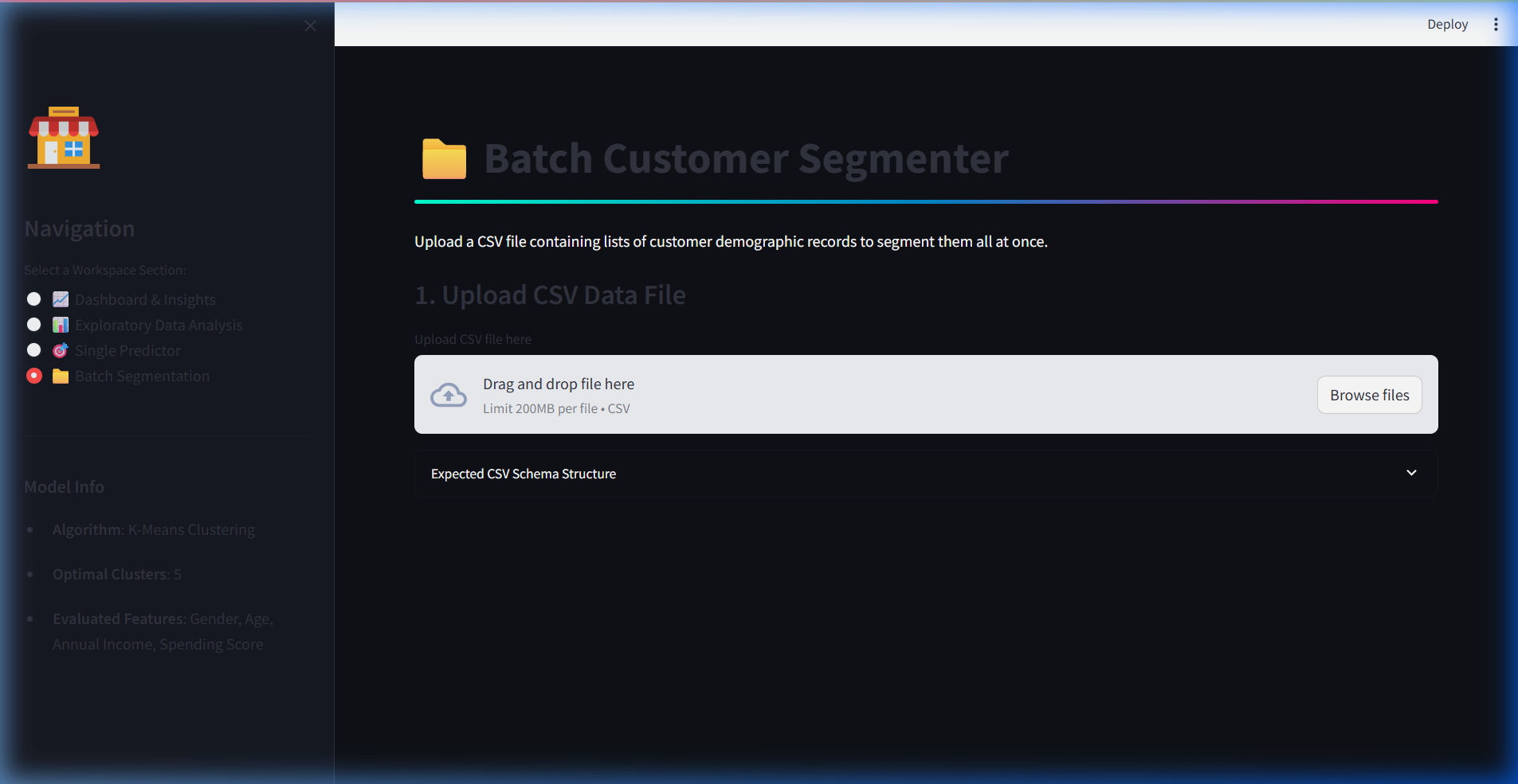 Mall Customer Segmentation Dashboard - Batch Segmentation